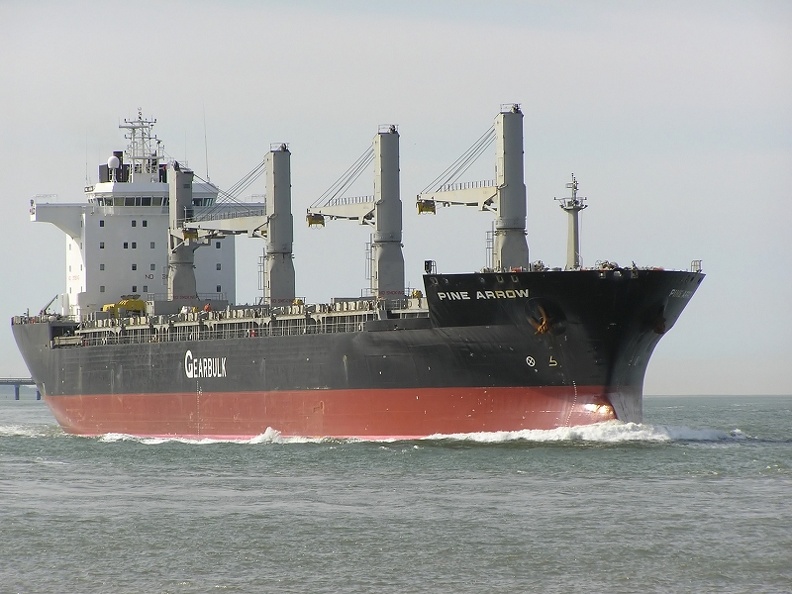 Bild
